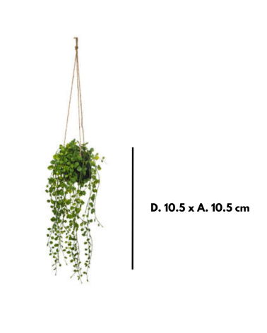 Planta Colgante Decorativa de 11 cm