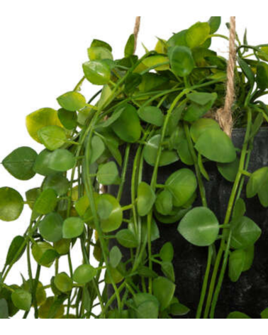 Planta Colgante Decorativa de 11 cm