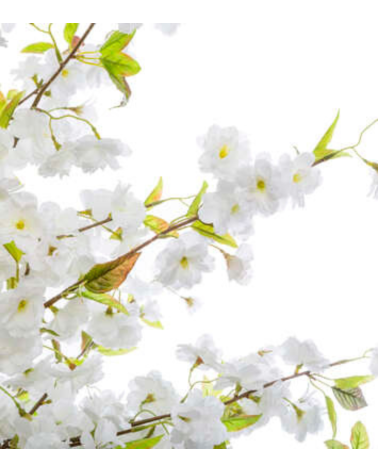 Árbol Decorativo Cerezo Blanco de 200 cm