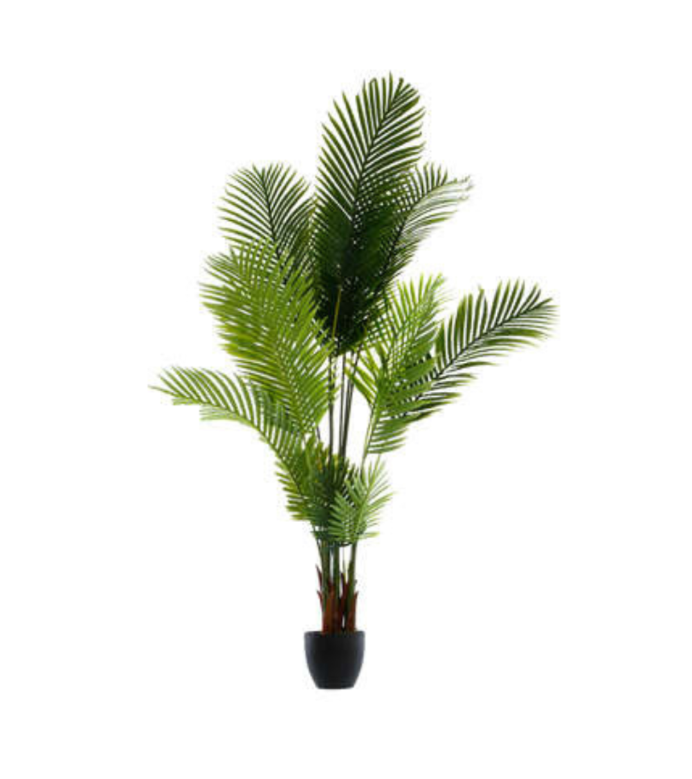 Palmera Decorativa de 170 cm