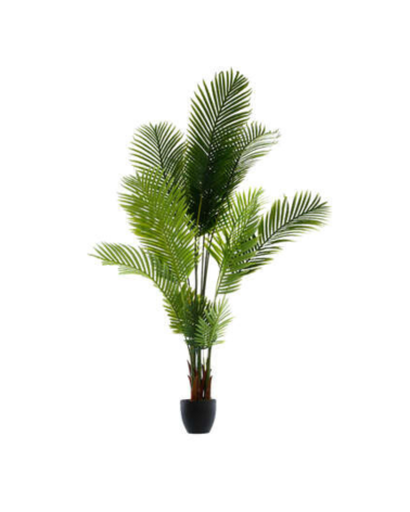 Palmera Decorativa de 170 cm