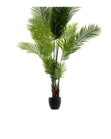 Palmera Decorativa de 170 cm