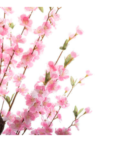 Cerezo Decorativo de 100 Cm - Varios Modelos