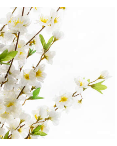 Cerezo Decorativo de 100 Cm - Varios Modelos