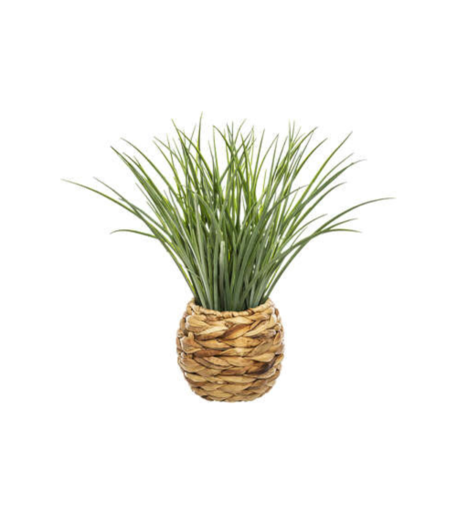 Planta Decorativa en Maceta Trenzada de 46 cm
