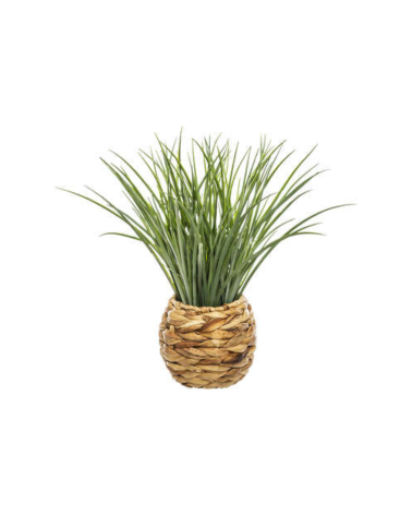 Planta Decorativa en Maceta Trenzada de 46 cm
