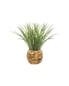 Planta Decorativa en Maceta Trenzada de 46 cm