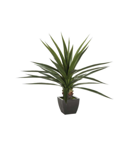 Planta Decorativa Agave de 130 cm