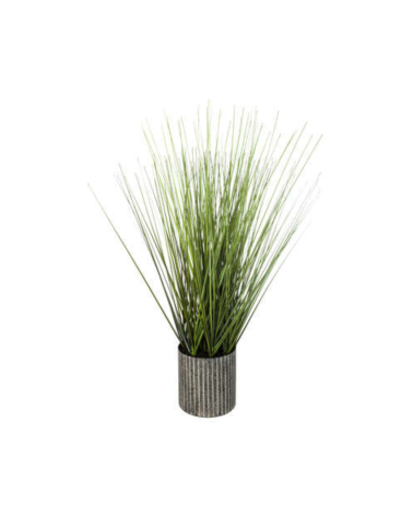 Hierba Decorativa de 45 cm
