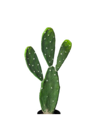 Cactus Decorativo de 60cm
