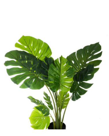 Planta Decorativa Philo Mostera de 110 cm