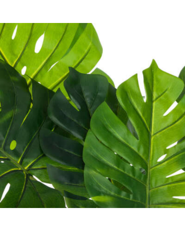 Planta Decorativa Philo Mostera de 110 cm