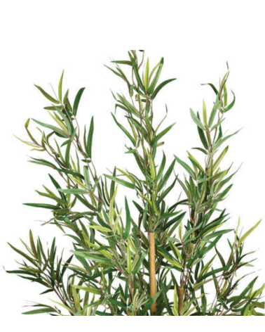 Bambú Decorativo de 120 Cm