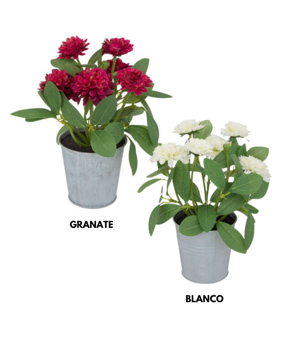 Flores en Maceta de 20 cm