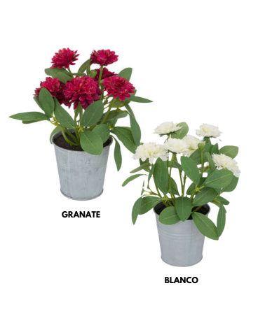 Flores en Maceta de 20 cm