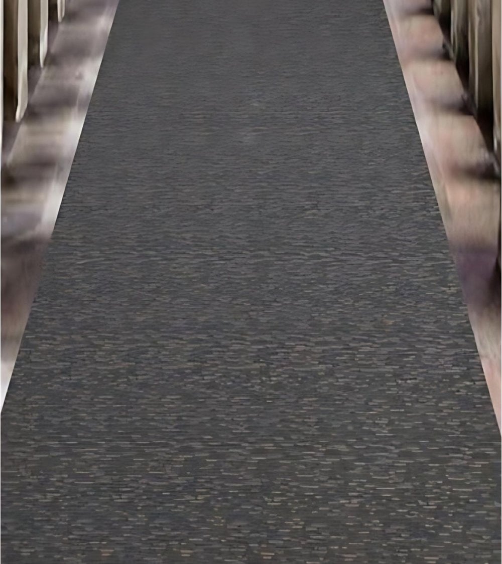 Alfombra Pasillera Antideslizante con Diseño Clásico