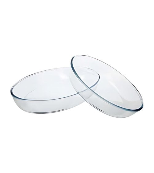 Set de 2 Bandejas Ovaladas de Vidrio para Horno