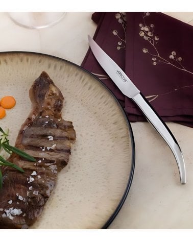 Set de 4 Cuchillos Chuleteros Monoblock