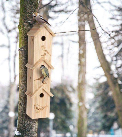 Casita de Pájaros Larga con 3 Niveles