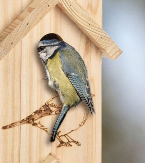 Casita de Pájaros Larga con 3 Niveles