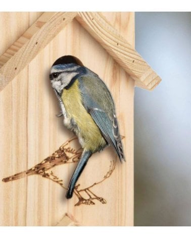 Casita de Pájaros Larga con 3 Niveles