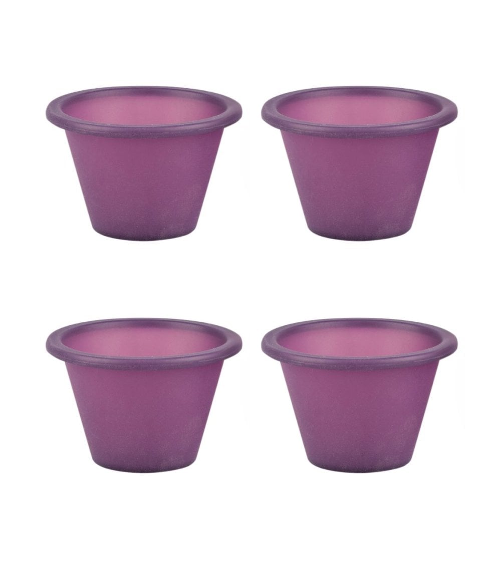 Set de 4 Moldes de Flan de Silicona Violett