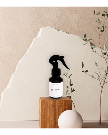 Spray Ambientador Ali Hogar 100ml