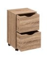 Cajonera Baja con 2 Cajones y Ruedas