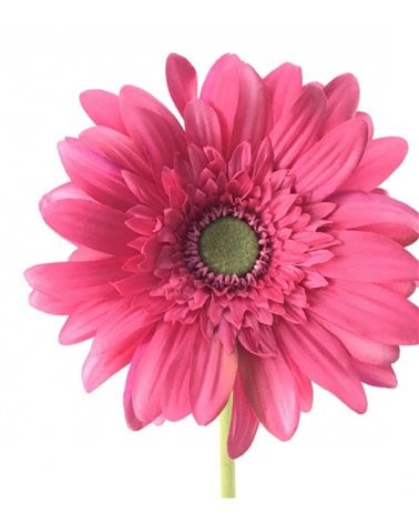 Vara de Gerbera Artificial para Interior