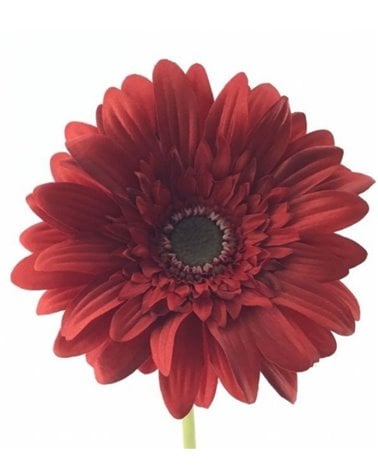 Vara de Gerbera Artificial para Interior