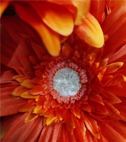Vara de Gerbera Artificial para Interior