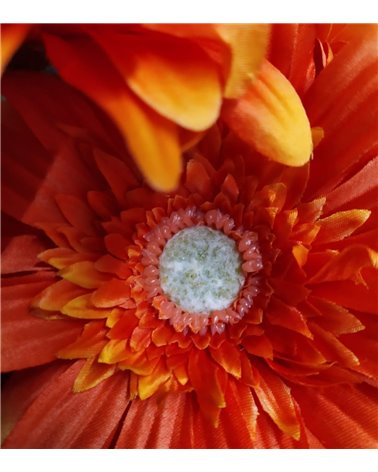 Vara de Gerbera Artificial para Interior
