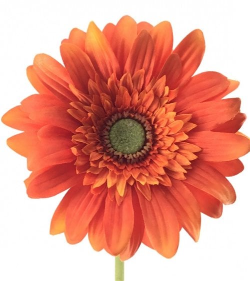 Vara de Gerbera Artificial para Interior