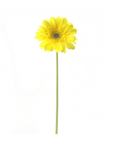 Vara de Gerbera Artificial para Interior