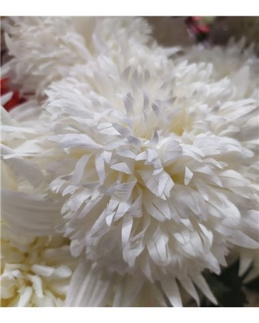 Vara de Snowball Mum Artificial para Interior