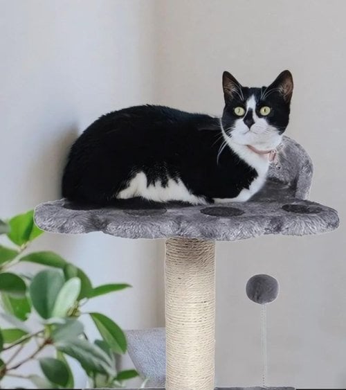 Árbol Rascador para Gatos en Forma de Huella