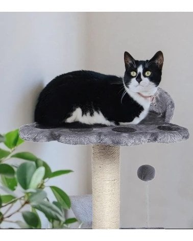 Árbol Rascador para Gatos en Forma de Huella