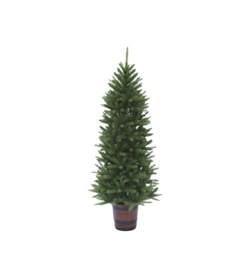 Árbol de Navidad Pino Estrecho en Maceta