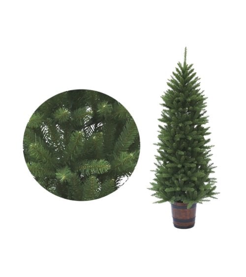 Árbol de Navidad Pino Estrecho en Maceta