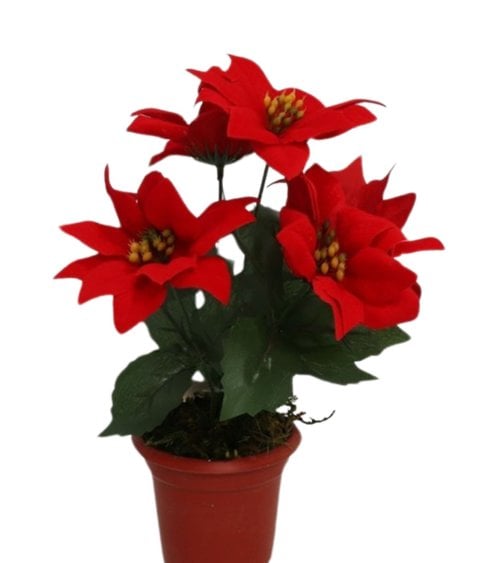 Planta Navideña Poinsettia Decorativa