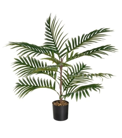 Palmera Decorativa en Maceta de Plástico