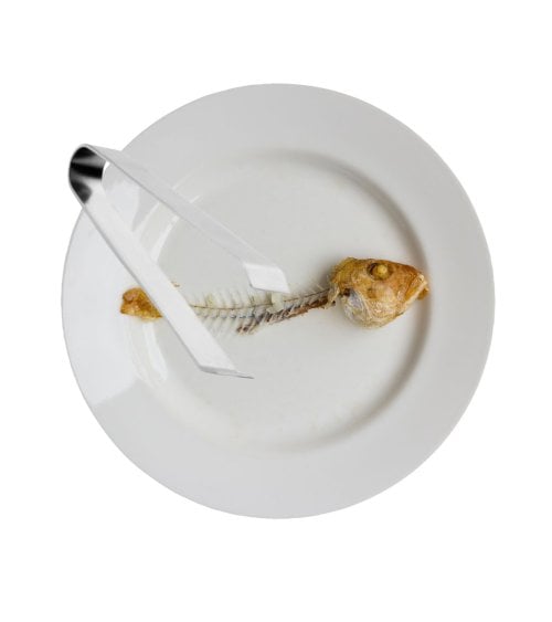 Pinza para Espina de Pescado de Acero Inox