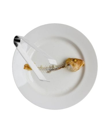 Pinza para Espina de Pescado de Acero Inox