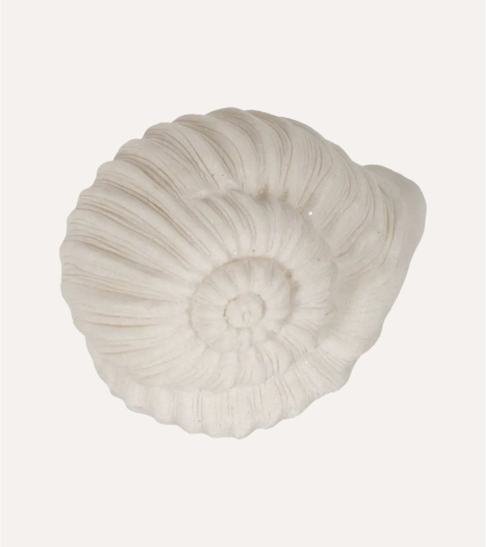 Lámpara de Caracol Marino de Resina
