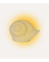 Lámpara de Caracol Marino de Resina