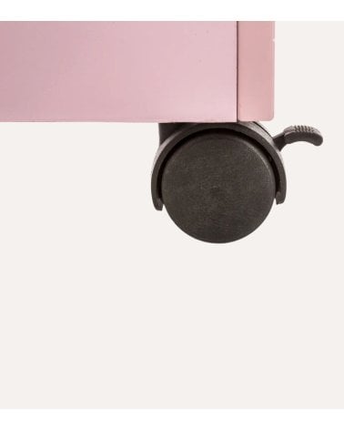 Baúl con Ruedas para Juguetes