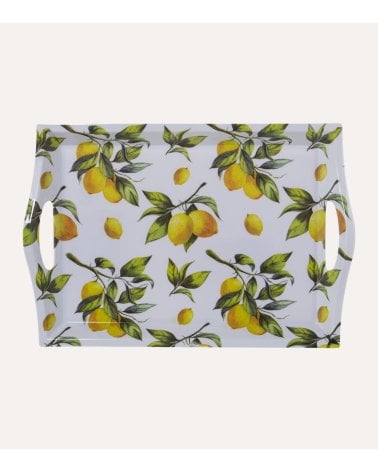 Bandeja con Asas de Melamina