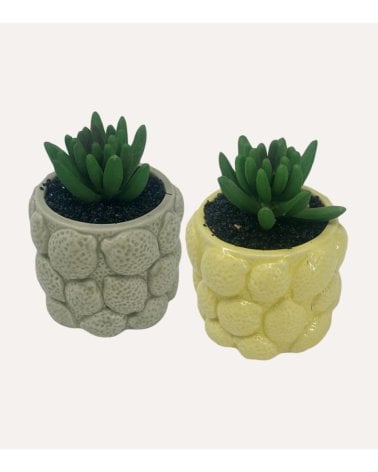 Planta Decorativa con Maceta de Limones