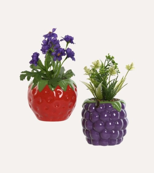 Planta Decorativa en Maceta de Fruta de Dolomita