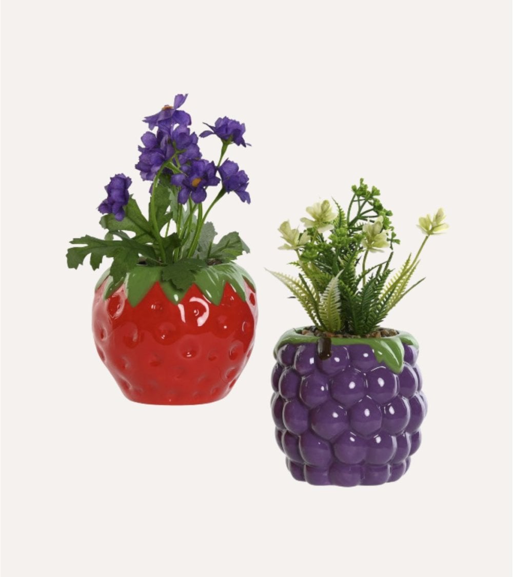 Planta Decorativa en Maceta de Fruta de Dolomita